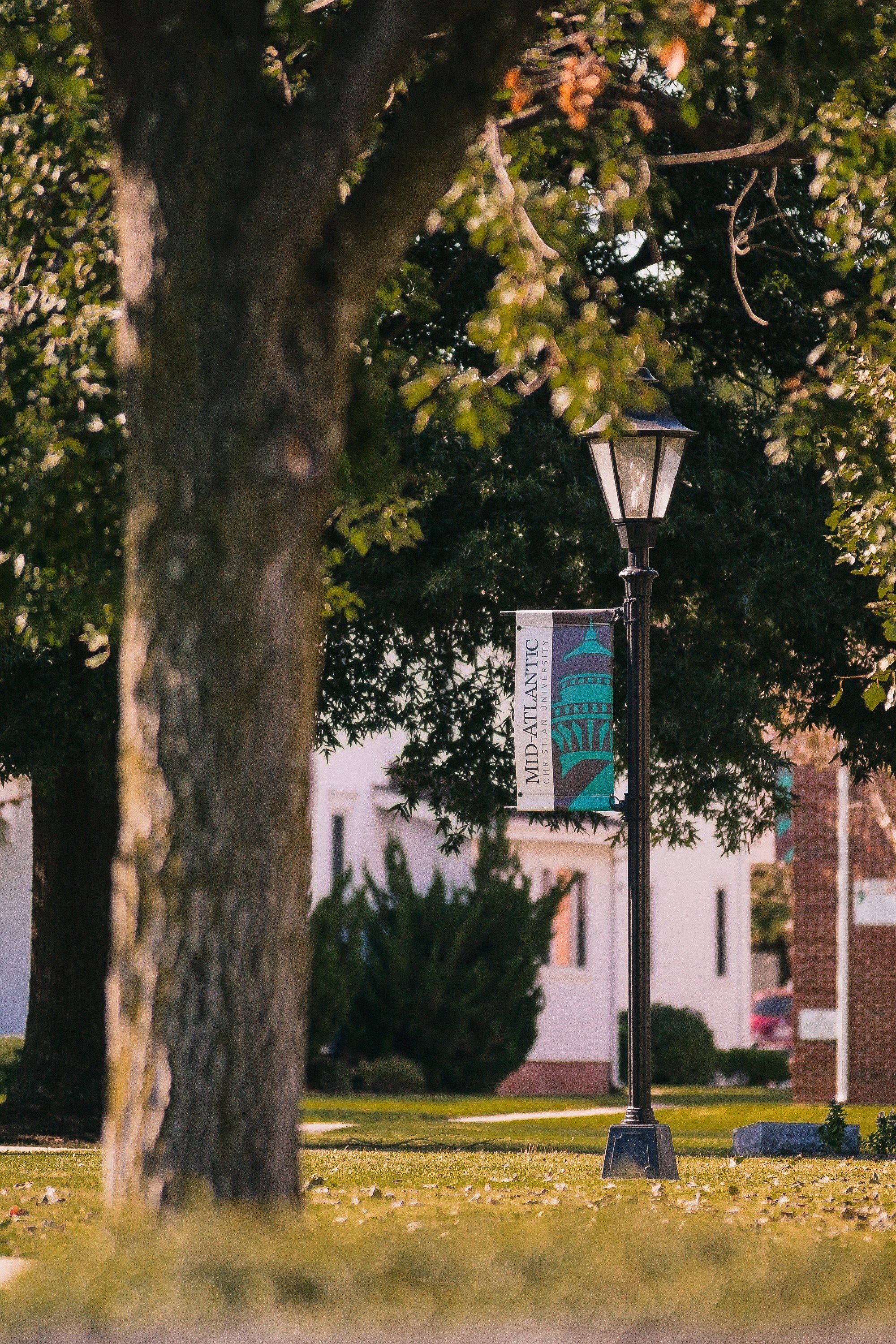 Campus_Grounds_5.jpg (x)px